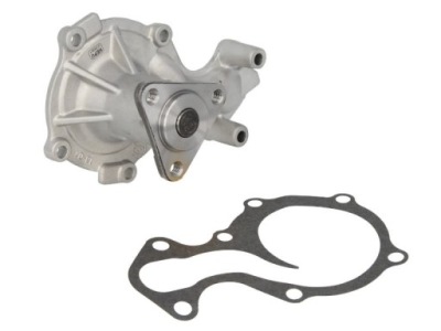 Насос водяна hepu p261 фото №1