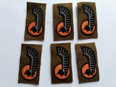 Naszywka 1 Dywizji Pancernej