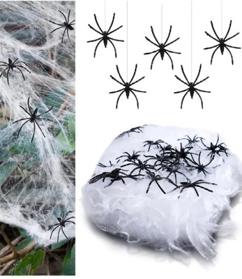 Pajęczyna Pająk Sieć pajęcza halloween