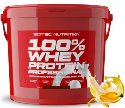 WHEY PROTEIN PROFESSIONAL 5000G BIAŁKO WPC WPI XXL