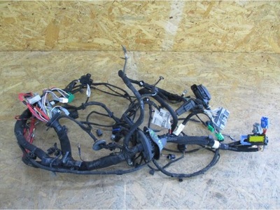 Джгут електропроводка відсік лампа передніх megane iv фото №1