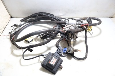 Електропроводка lpg renault megane iii 2.0tce фото №1