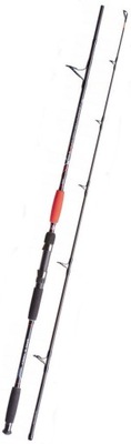 WĘDKA SUMOWA JAXON CATFISH SPIN TROLL 2,40m 160g