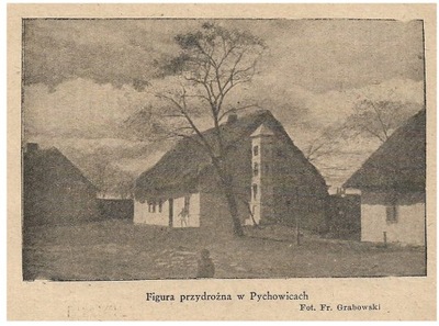 PYCHOWICE KOSTRZE BODZÓW