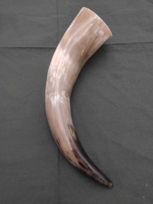 Drinking Horn - 0,5l - róg do picia