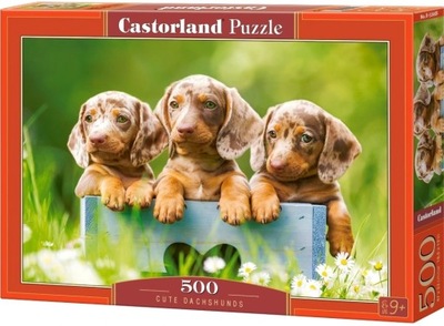 Castorland puzzle słodkie jamniki pieski 500 el