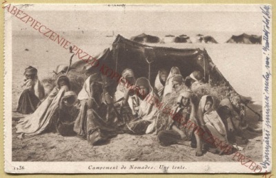 ANK AFRYKA ARAB LUDNOŚĆ ETNICZNA KOCZOWNICY