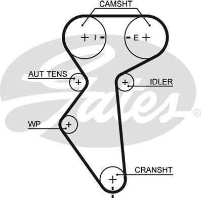 РЕМЕНЬ ГРМ GATES 5419XS