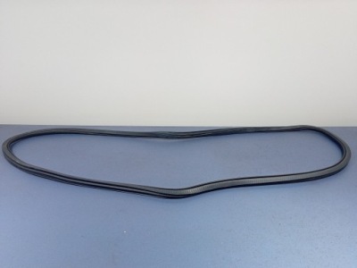 Bmw 7 g12 прокладка двері задній лівий 7336047 фото №1