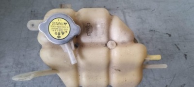 Navara d40 pathfinder r51 2.5 dci бачок розширювальний фото №1