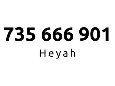 735-666-901 | Starter Heyah (66 69 01) #B