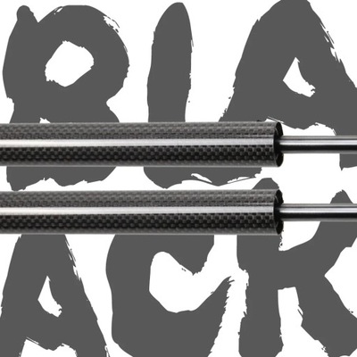 For honda civic type r fk8 2017-present передняя часть bonnet капот modify gas 70747 фото №1