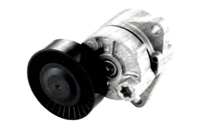 Snr натяжитель ремень многоручейковый hyundai terracan фото №1