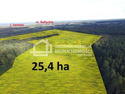 Działka, Sarbsk, Wicko (gm.), 254000 m²