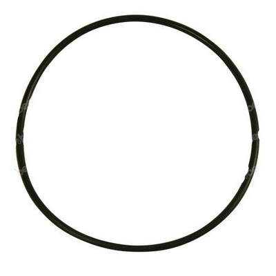 O-ring New Holland Case 2,62X82,22 14461080