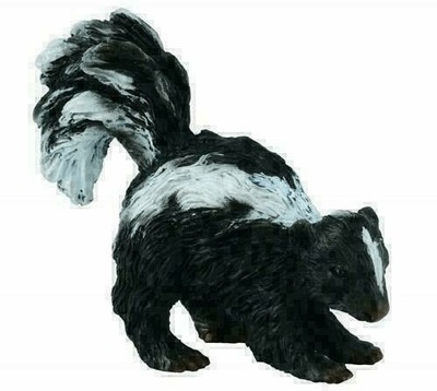 Skunks S. Collecta