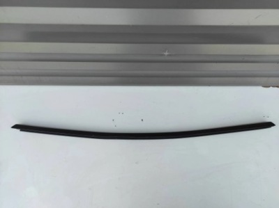 Молдинг ущільнювач хром двері скло лівий задній tesla model y фото №1