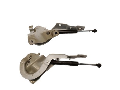 Петли капот амортизаторы комплект renault zoe фото №1