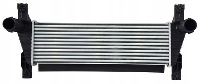 Intercooler FORD RANGER 11- 2.2 TDCI 1D0113550A