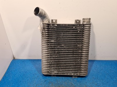 Hyundai santa fe i 2.0 crdi интеркулер фото №1