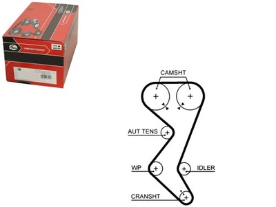РЕМІНЬ ГРМ 5528XS/GTS GATES