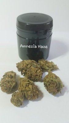 susz cbd premium Amnezia Haze 2g