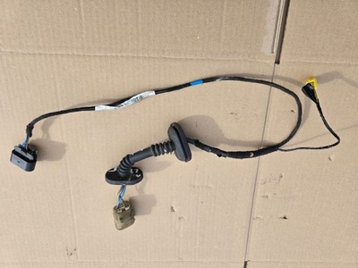 Джгут електропроводка двері правий задня smart forfour 454 europa a4545404607 фото №1