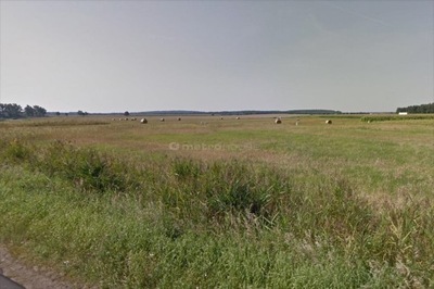 Działka, Trzcielin, Dopiewo (gm.), 31000 m²