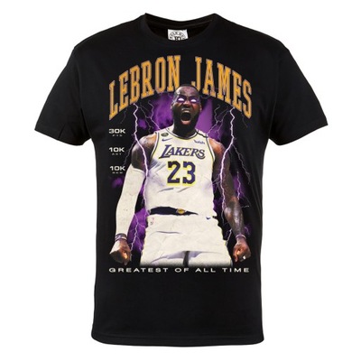 KOSZULKA KOSZYKARSKA NBA LEBRON JAMES LA LAKERS, XL