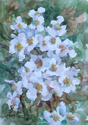 "Kwiaty", akwarela Aleksander Franko