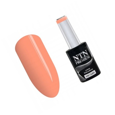 Ntn Lakier hybrydowy Premium 152 Delight Sorbet Co