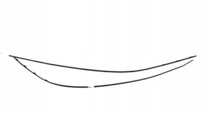 Молдинг дахова скло прокладка ліва infiniti fx50 фото №1