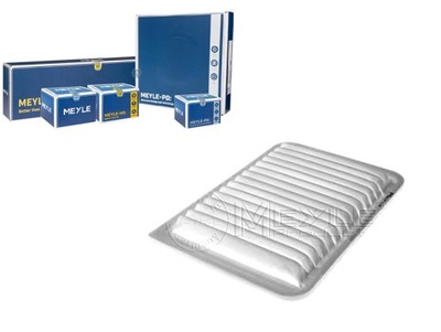 Фільтр повітря lexus rx 350 awd gyl15_ ggl1_ фото №1