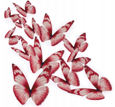 Motyle bordowe różowe