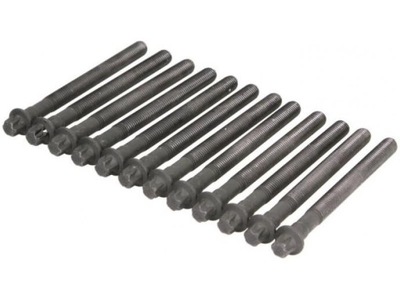 Elring 460.030 набір гвинт головки циліндрів фото №1