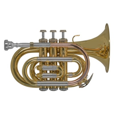 Bach Bb-trąbka kieszonkowa PT650