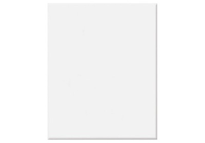 Płytka 25x20cm 20x25cm Biała Połysk G.I - 0,50m2 - 10szt