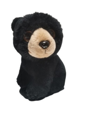 TY Wild Best niedźwiedź Midnight duża maskotka miś 26cm kolekcja 2011