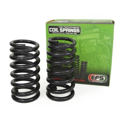 Пружини передні +1" vw-100he vw amarok фото №1