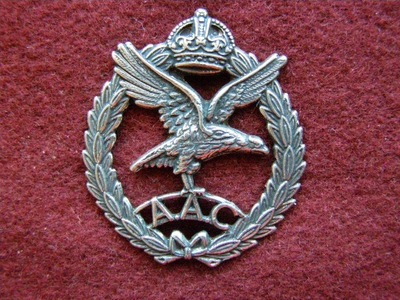 Odznaka Korpusu powietrznego.