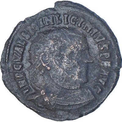 Moneta, Licinius I, Follis, 321-324, Alexandria, V