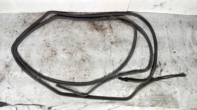 Ущільнювачі двері комплект 2szt daewoo lublin фото №1