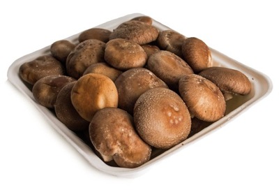 ŚWIEŻE GRZYBY SHIITAKE TWARDNIK SHITAKE 2 KG