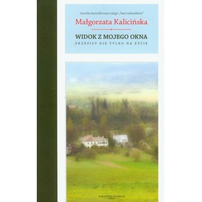 KALICIŃSKA WIDOK Z MOJEGO OKNA