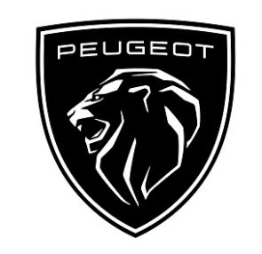 SUELO PARTE TRASERA PEUGEOT  