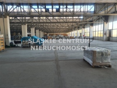 Magazyny i hale, Będzin, Będziński, 11643 m²