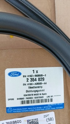 FORD FIESTA MK8 УЩІЛЬНЮВАЧ ДВЕРІ ПЕРЕДНІХ