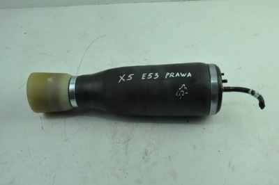 Bmw e53 подушка підвіска задня права фото №1