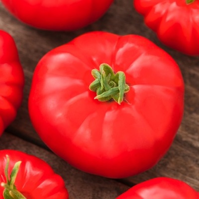 Pomidor Karłowy Jutrosz F1 śr wczesny nasiona pomidory pomidora warzyw