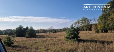 Działka, Drogosław, Szubin (gm.), 850 m²